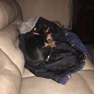 Meet your Posher, David